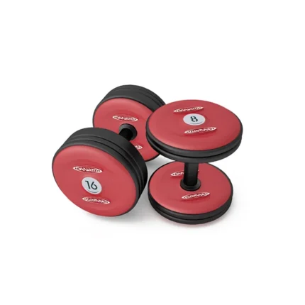 Dumbbells full